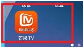 芒果TV如何设置允许芒果TV展现活跃状态 芒果TV设置允许芒果TV展现活跃状态的方法